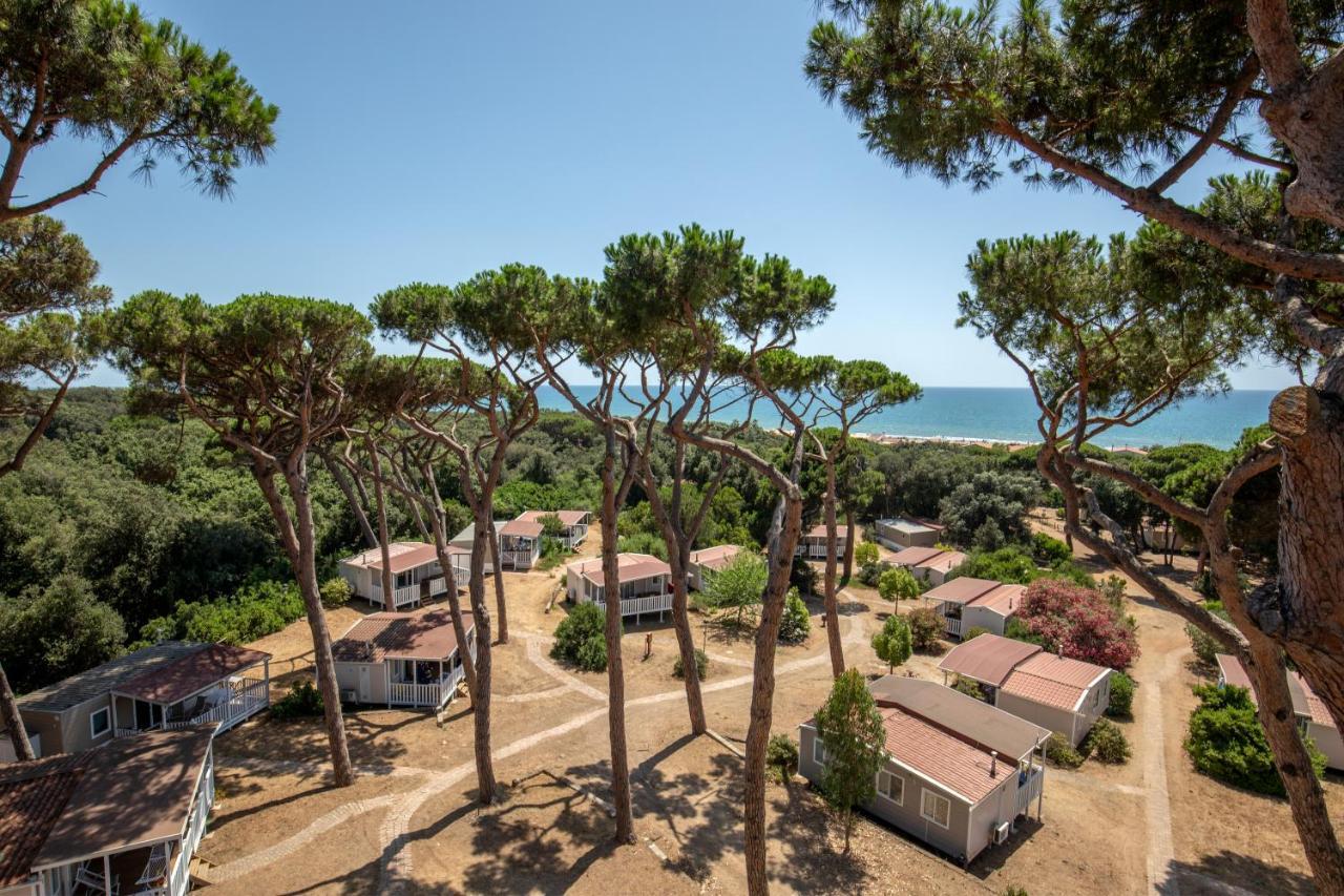 Parco Della Gallinara Lido dei Pini Exterior foto